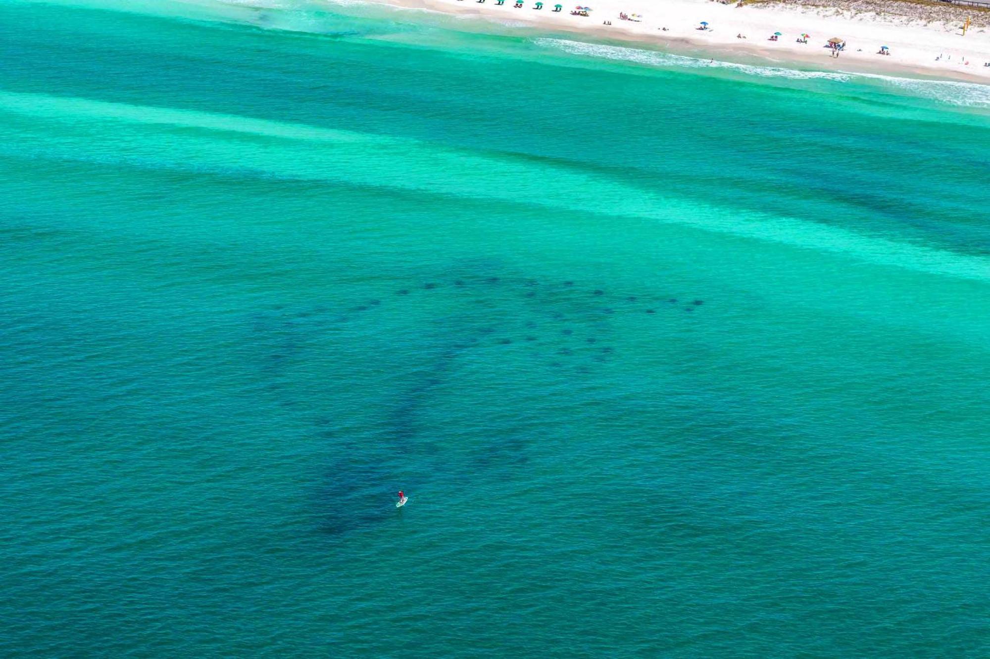 Ariel Dunes I 203 Destin Zewnętrze zdjęcie